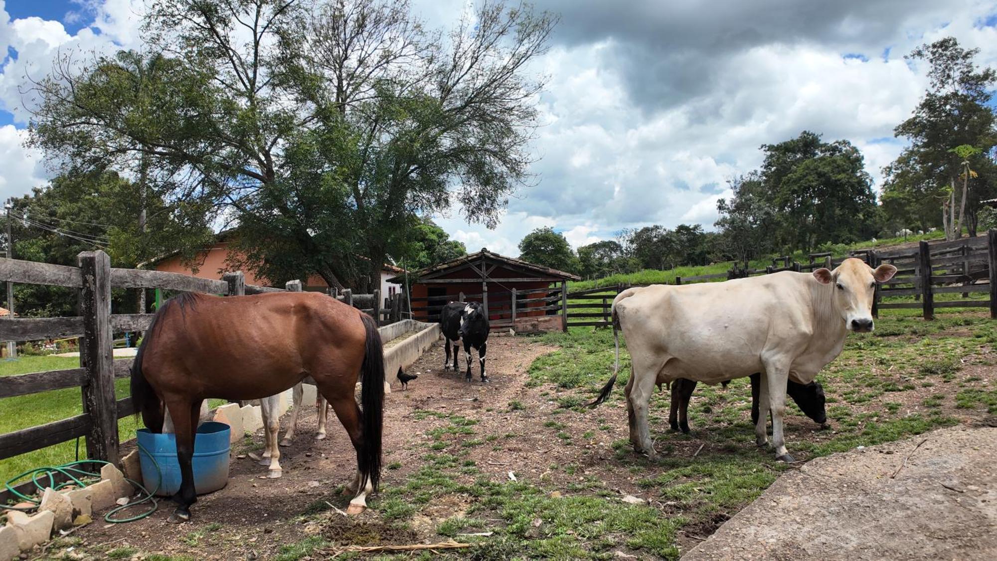 Águas Vivas Hotel Fazenda Pirenópolis Esterno foto